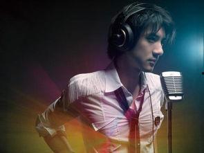 吃瓜网红王力宏简介视频,吃瓜网红背后的音乐传奇  第2张